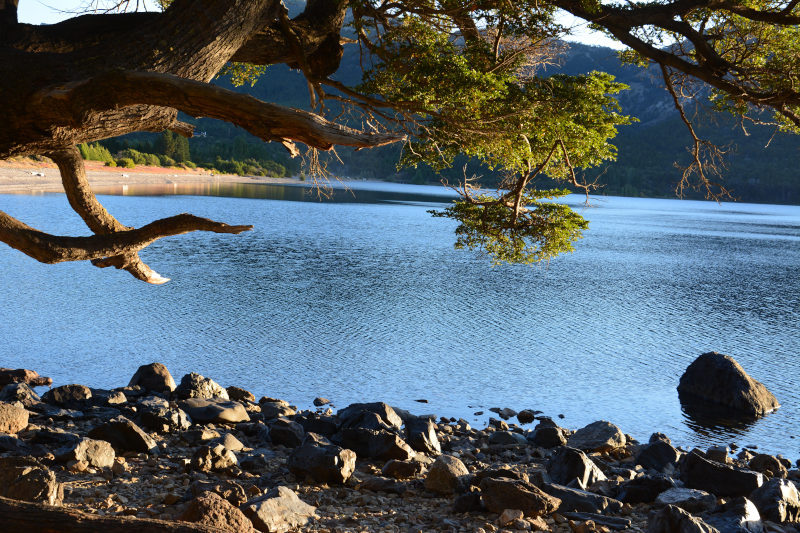 Escápate al paraíso. los chalets de Kingfisher de los Andes! El alojamiento o cabaña de lujo para tus vacaciones se encuentra en medio de la naturaleza, rodeado de múltiples montañas y siete lagos, situado en los límites del Parque Nacional Lanin dentro la Patagonia Andina.  